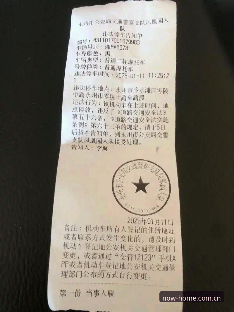摩纳哥超速罚单，到底是车手失误还是系统有猫腻？